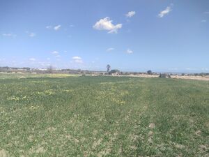 Vente de 2 terrains à El Maamoura