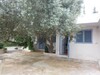 AV 600 m Studio de demeure en face Hammamet sud