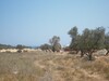 Terrain 1285m a Hammamet nord pour promotion immobilière