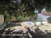 VILLA ALYA 2 II Hammamet Zone Craxi