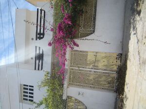 A vendre maison à ezzahra