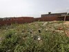300m² à besbesya hammamet sud