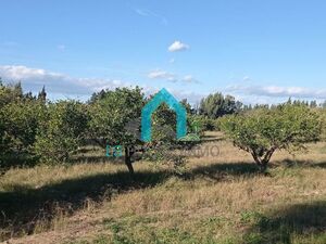 av senya a beni khalled w