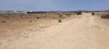 AV terrai hectare proche bouficha yassmin hammamet