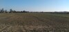 AV terrain 03 hectare sur la route goudronnée dans la zoneboufich