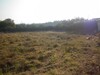 un bonne affaire Terrain 900m zone craxi hammamet