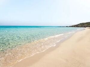 Appartement FLAMINCO Réf: