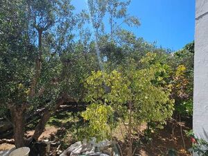 Appartement BELLE DE NUITRéf: