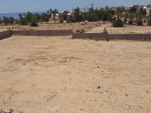 A vendre Terrains à Kerkennah TITRE FONCIER INDIVIDUEL