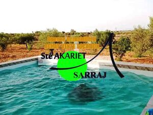 A VENDRE Belle Senia Clôturé 7520m² kalaa kbira El Henya