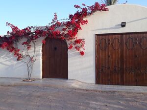 Villa Bougainvillier à louer à Djerba
