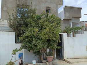 av 2 maisons à hammem jdid