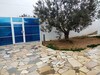 Maison chahd Location Villa à Nabeul TPS Immobiliere à Hammamet