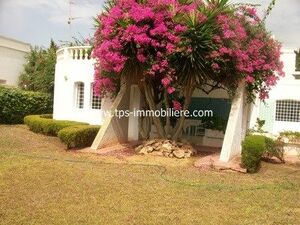 DAR MANAR MIMOSA	REF