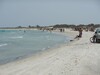 A VENDRE UN TERRAIN DE 10 000 M²