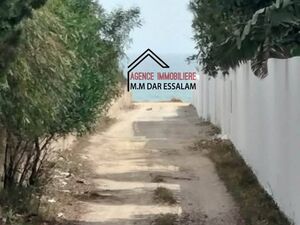 maison à kerkouane près de la mer