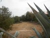 A good case land 600 m in tourist area