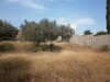 for sale land 1300 m view sea Hammamet