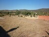 AV Terrain de compagne a 10 min de Hammamet