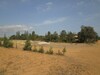 Terrain 1000m a sidi Hamed Hammamet