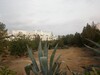 Terrain 660m a Hammamet nord pour promotion immobilière