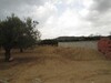 AV Terrain à Hammamet avec vue mer