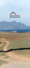hectare à el haouaria près de la mer