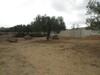 Hammamet nor with sea view plot