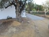 a nearby land from hammamet city centre for sale