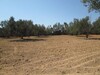 AV Terrain 994m Basbaseya 10min à Hammamet Sud