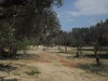 AV 5 lots de terrain de différentes superficies à Mrezga hammamet