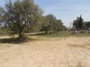 AV un beau lotissment à barreket essehel hammamat
