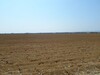 Great bare land of 15000 m close to Hammamet Sud