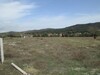 Terrain 1500m à la campagne du Hammamet