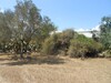 Land for sale in Wed rih hammamet
