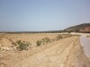 AV Terrain agricole avec vue mer