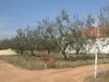 AV terrain à coté palais présidentielle à Hammamet