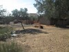 Terrain 730m zone Craxi Hammamet