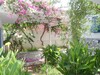 for rent beautiful large villa in hammamet manaret