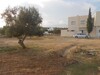 to sell land at kharouba North hammamet