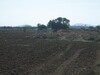 AV Terrain pour investissement à Sidi Mtir 2000m