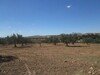 AV 10 hectares à hatouz direction Zaghouan