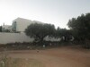 field behind hotel aziza 2300 m