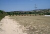for sale a bare land 1 Ha 7333 metres not far from Yasmine