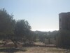 AV Terrain 456m à Kharrouba Hammamet nord