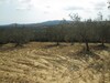 AV Terrain avec vue mer à hawaria nabeul