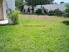 Villa green has Ayasmine Hammamet