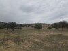 Terrain agricole 5 hectares et 3950m à sidi khlifa