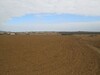 Terrain 6 hectares à dwikhla Hammamet