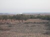 Terrain 2200m dwikhla Hammamet